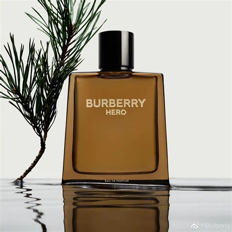 burberry gold flames parfum men|burberry men perfume.